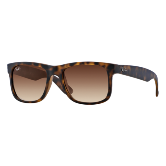 RAY-BAN JUSTIN CLASSIC SUNGLASSES