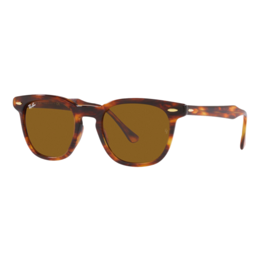RAY-BAN HAWKEYE SUNGLASSES