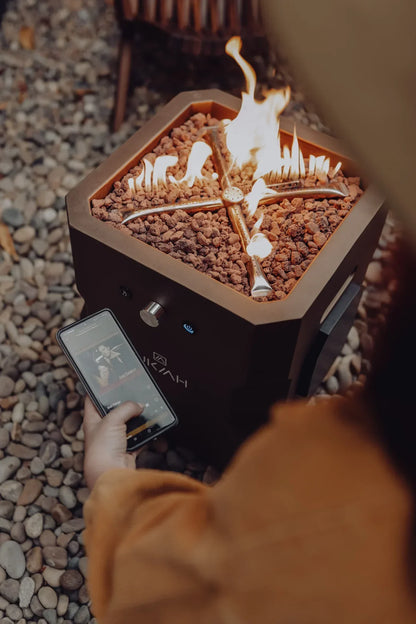 TAILGATER II W/BEAT TO MUSIC TECHNOLOGY