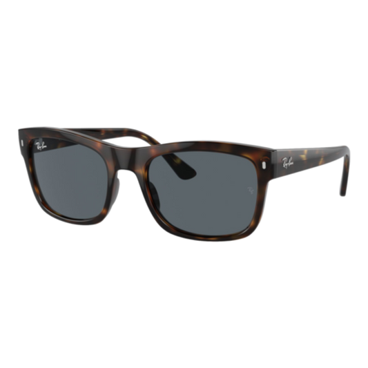 RAY-BAN RB4428 SUNGLASSES