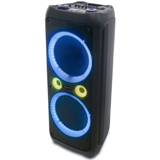 RECHARGEABLE PREMIUM PARTY SPEAKER, 12"