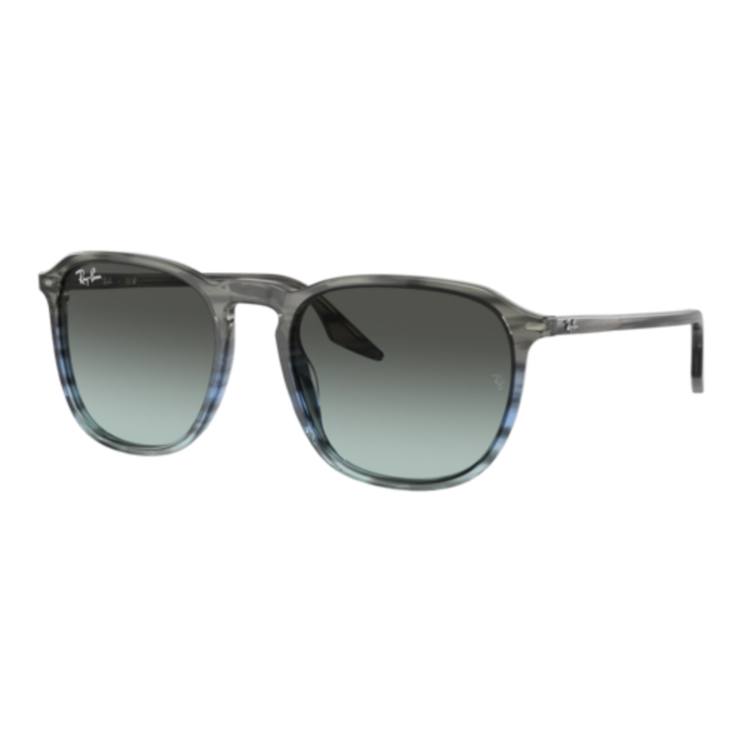 RAY-BAN RB2203 SUNGLASSES