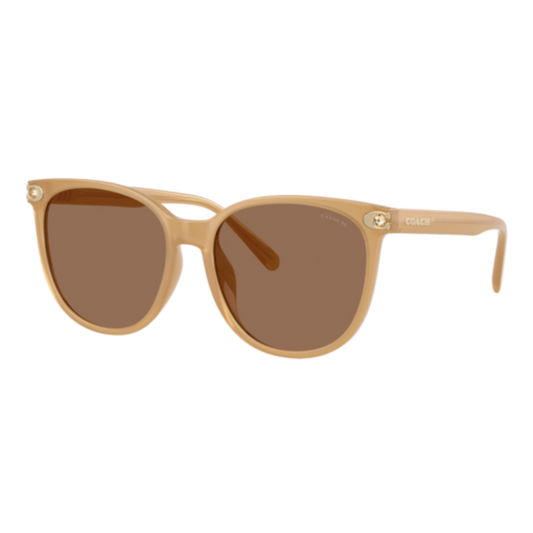 COACH WOMEN'S EMBEDDED SIGNATURE ROUND SUNGLASSES