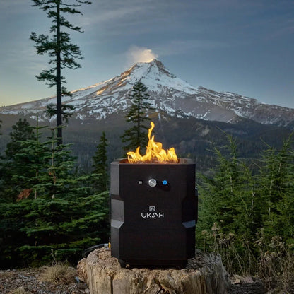 TAILGATER II W/BEAT TO MUSIC TECHNOLOGY