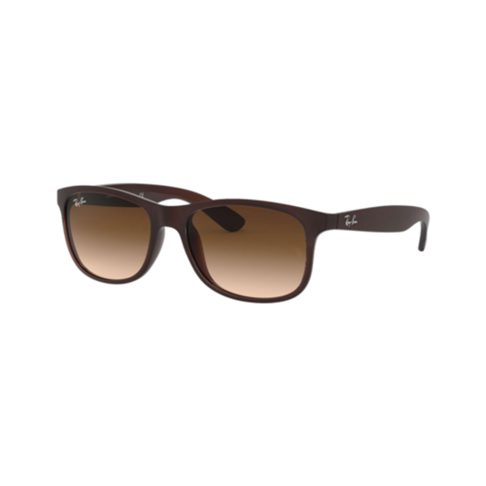 RAY-BAN ANDY SUNGLASSES