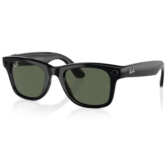 WAYFARER SUNGLASSES, SHINY BLACK
